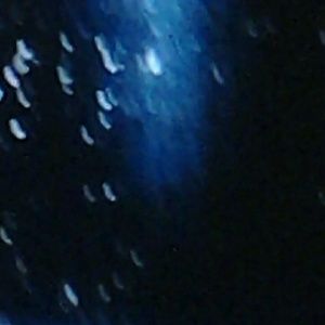 Meet your Posher, Ladonna